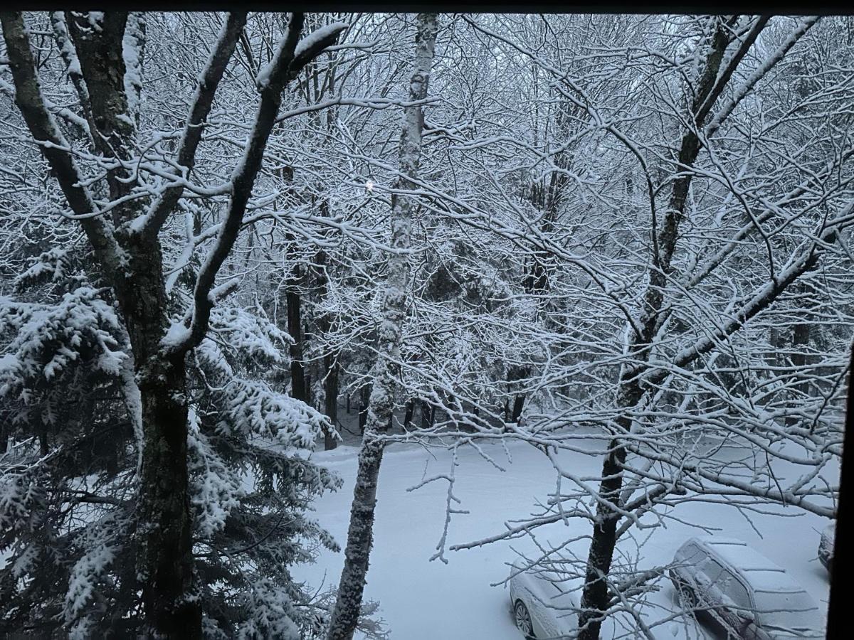 Vermont Getaway! Newly Renovated! Stratton Valley 외부 사진